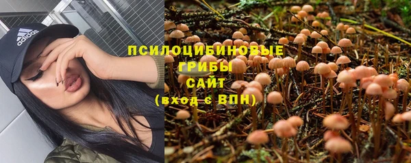 прущая мука Верея